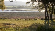 Riviere du Faou, commune d'Hanvec, Zone Natura 2000 de la rade de Brest - ©Serge-H